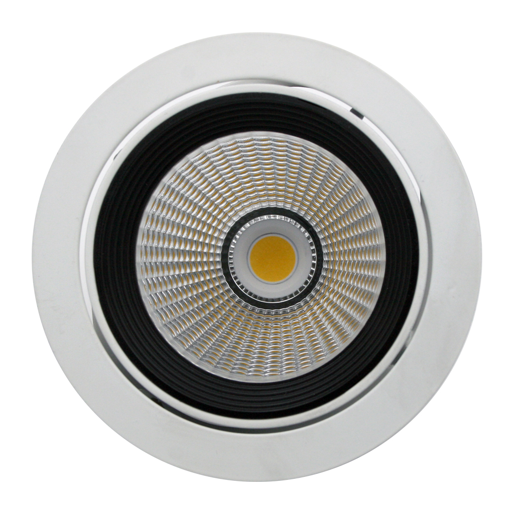ΧΩΝΕΥΤΟ ΣΠΟΤ HOST LED 3000LM 3000K 30W ΛΕΥΚΟ@
