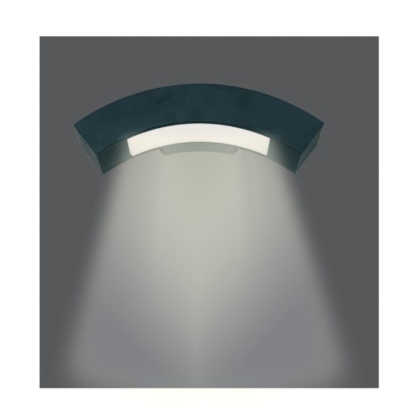 WALL LIGHT PARIS 3W 6400K IP54 BLACK - Image 2
