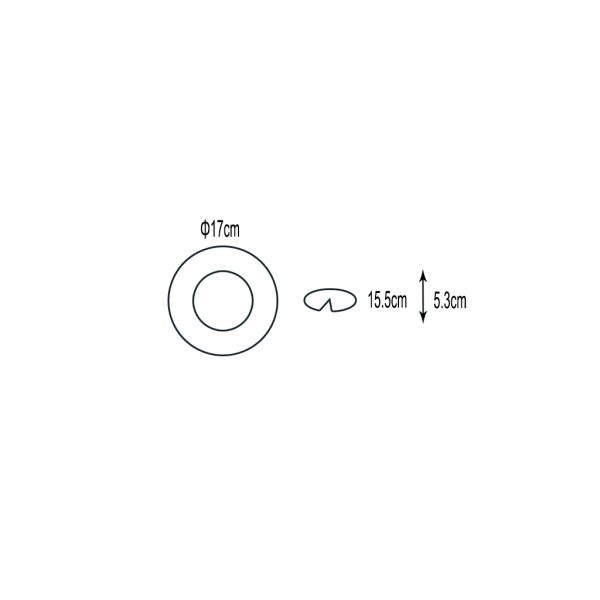 Downlight ARR-N White GU10 18cm Cable Adjustable 30° d17cm - Image 3